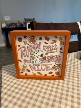 Peanuts Orange Framed Decorative Shadow Box